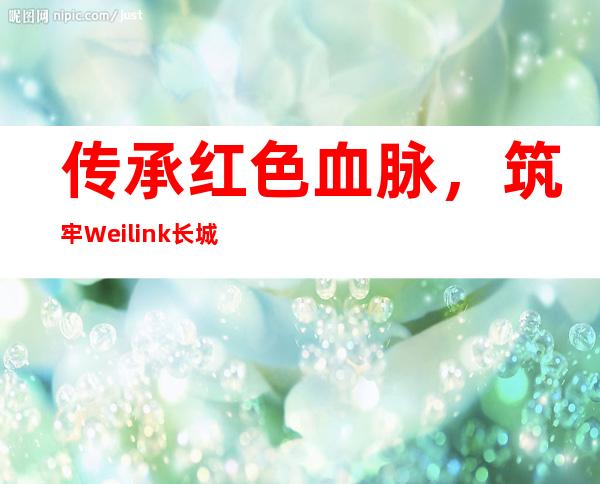 传承红色血脉，筑牢Weilink长城